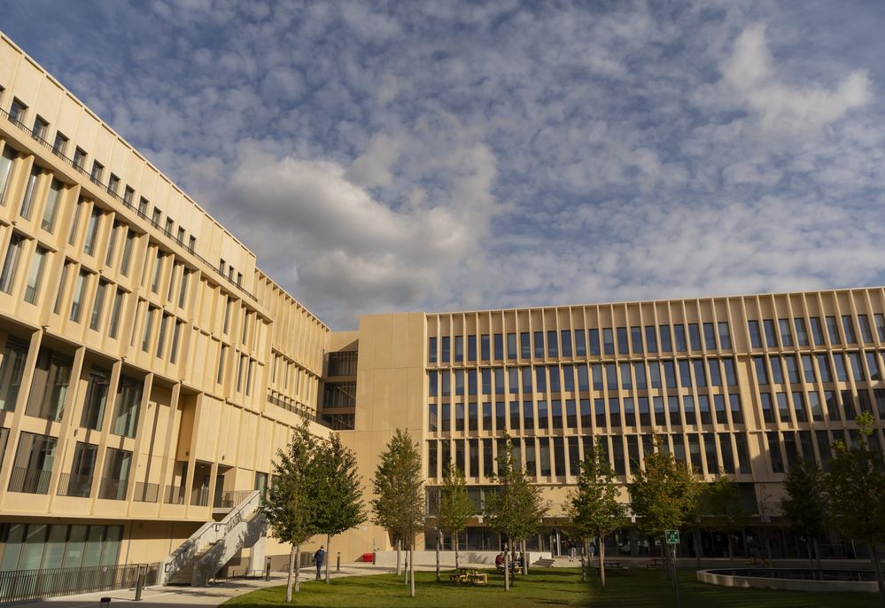 universidad de paris